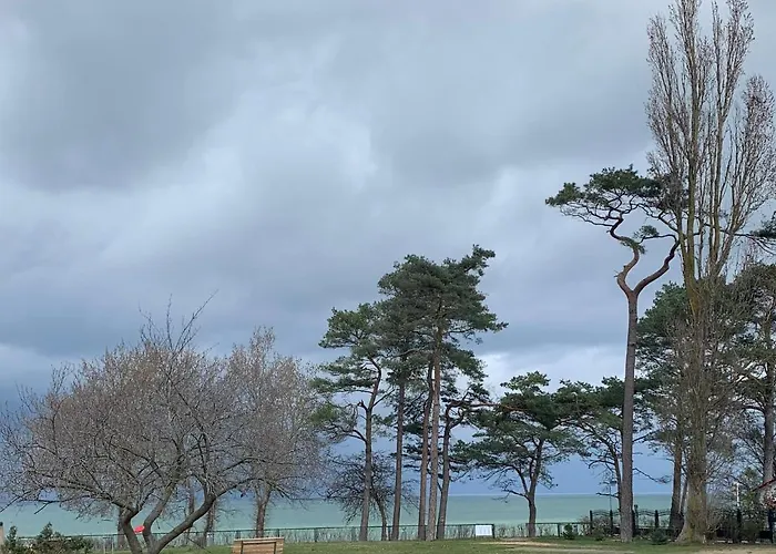 Black Eagle 4* Lubmin